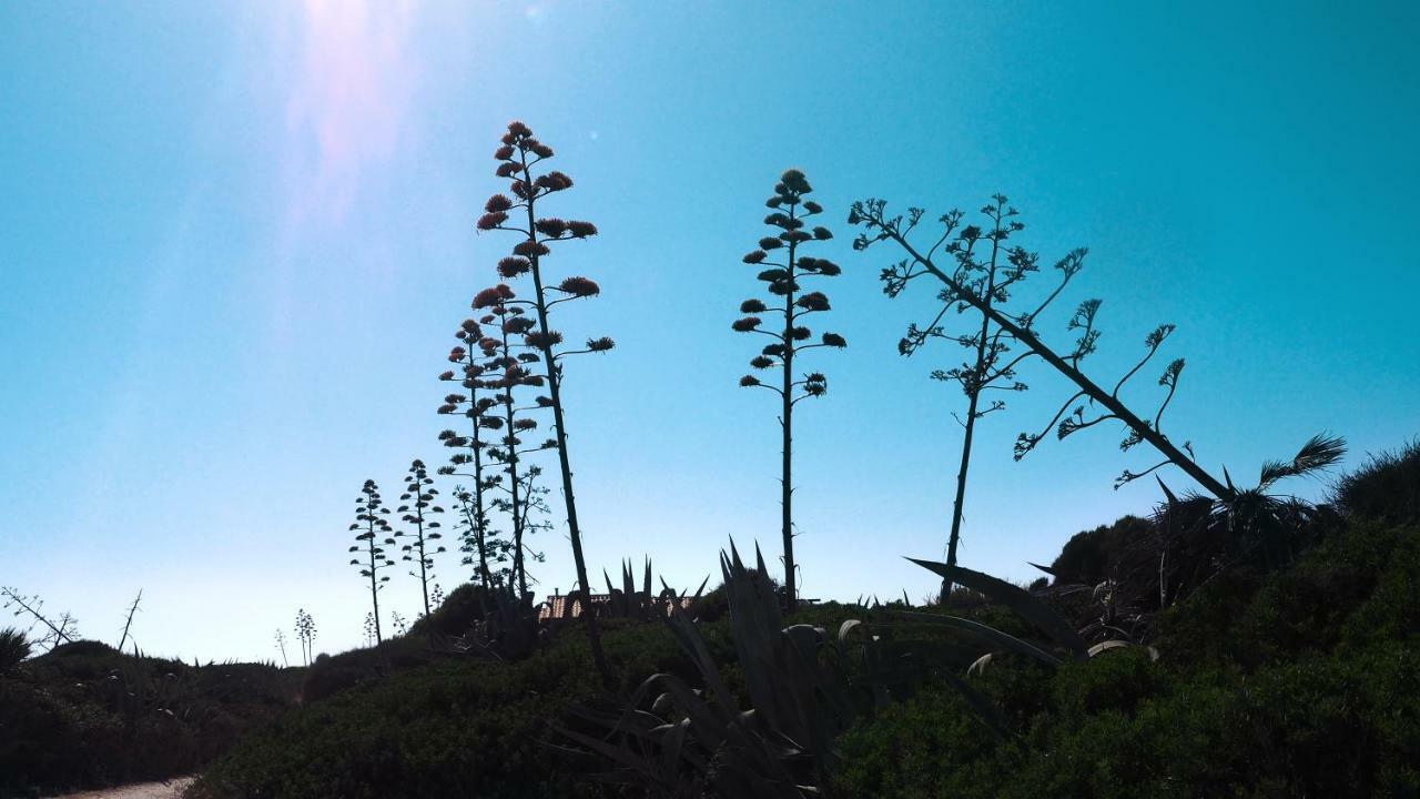 Rosa Marina Villa Scicli Esterno foto